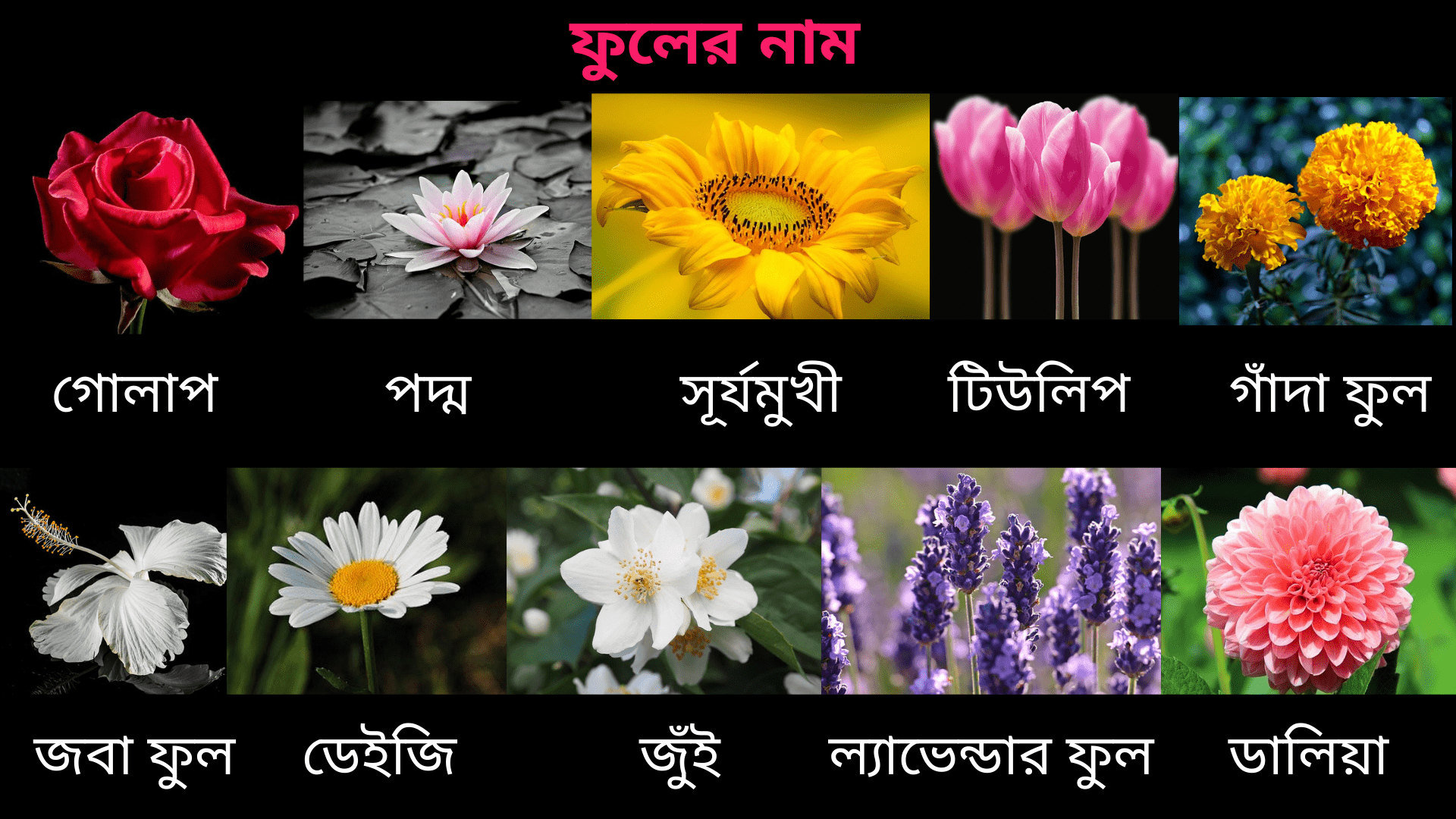 10 flowers name