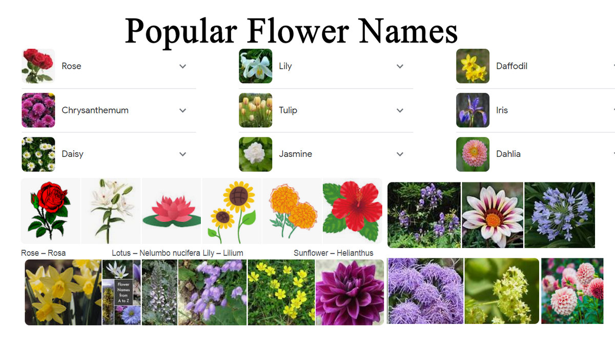 Popular Flower Names, Flowers Name in Tamil and English with Pictures,