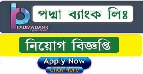 Padma Bank Job Circular